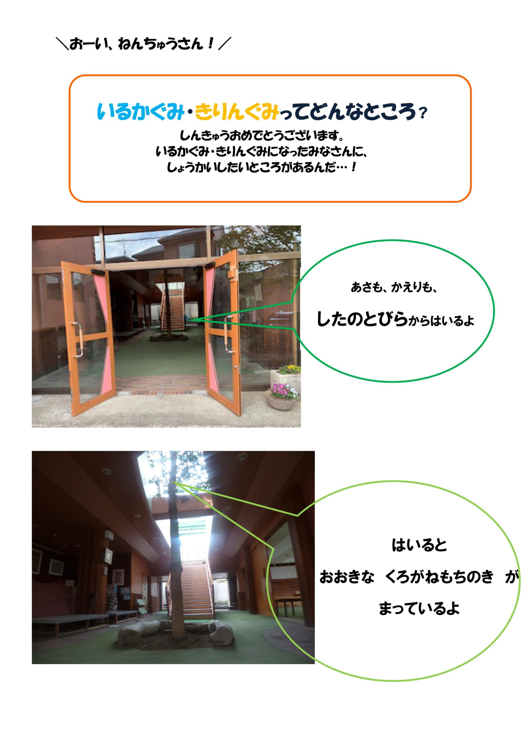 いるかぐみ きりんぐみをしょうかいするよ 伸びる会幼稚園 横浜