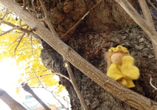 ＜ようちえんSHOT＞いちょうのお店屋さん